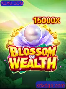 Explorando o Mundo Enigmático de BlossomofWealth