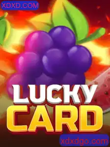 Explorando o Jogo LuckyCard no XDXD.COM